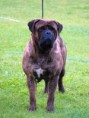 /album/fotogalerie/dorothy-of-the-dave-n-dogs-i-jpg1/